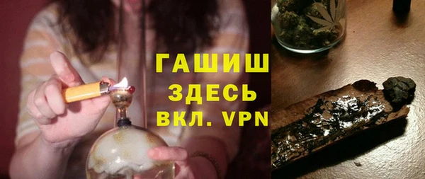 хмурый Алексин