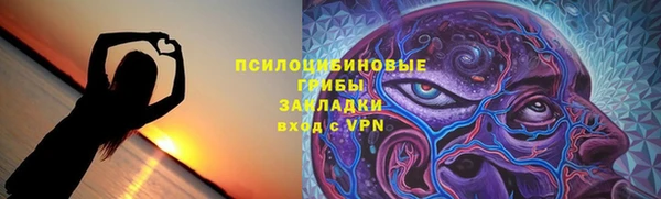 хмурый Алексин