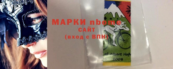 хмурый Алексин