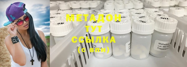 индика Алзамай