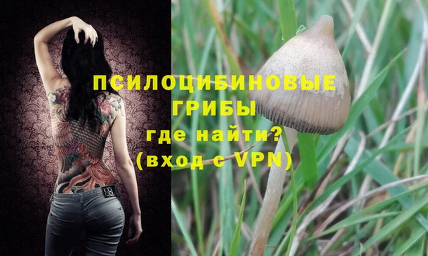 хмурый Алексин