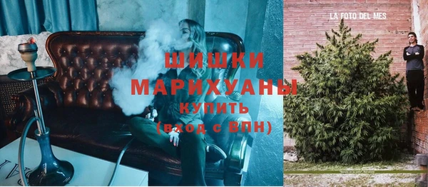 индика Алзамай