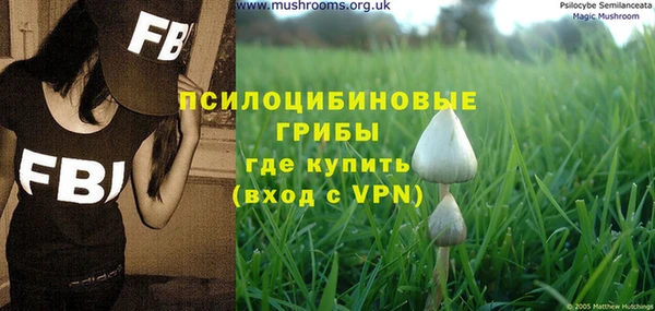 гашик Алексеевка