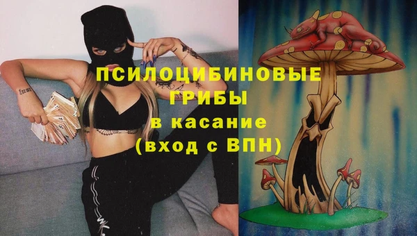 хмурый Алексин