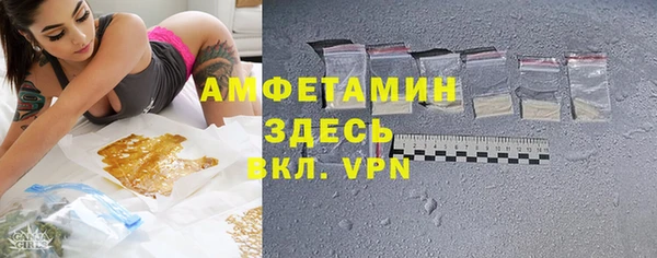 индика Алзамай