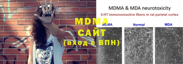 хмурый Алексин