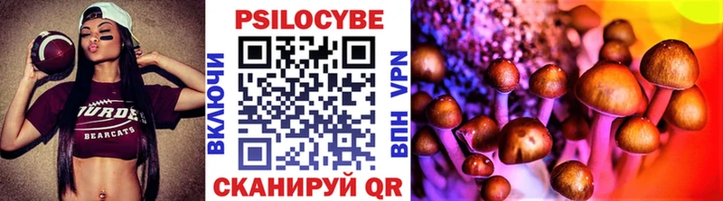 MEGA сайт  Советская Гавань  Галлюциногенные грибы Cubensis  что такое  
